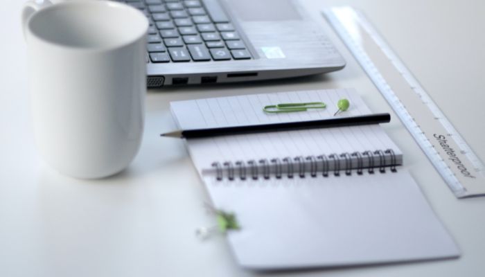 errors in background check