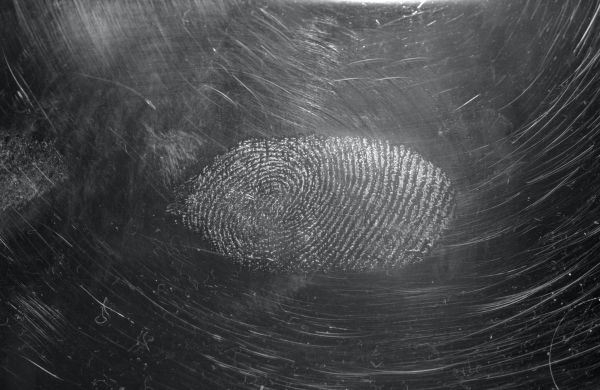 fingerprint background checks price