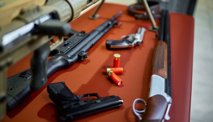 Less-Lethal Guns and Rifles for Self defense